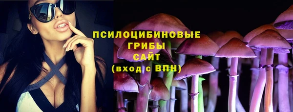 синтетический гашиш Новодвинск